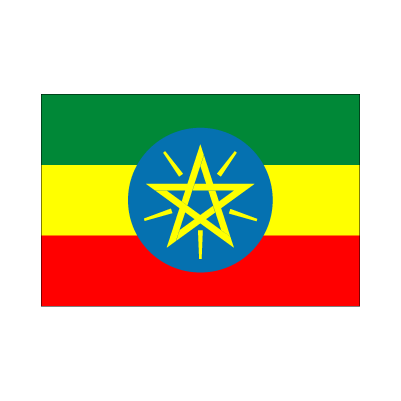 卓上旗 エチオピア 赤井トロフィー