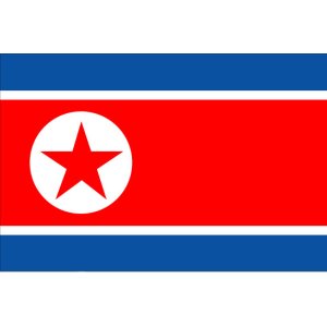 画像: 北朝鮮国旗：翌日発送可、世界の国旗掲揚、壁掛け、タペストリーに外国旗販売