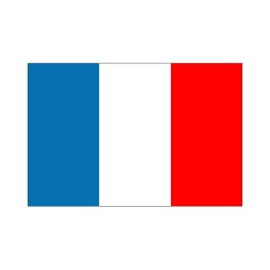 画像: フランス国旗：翌日発送可、世界の国旗掲揚、壁掛け、タペストリーに外国旗販売