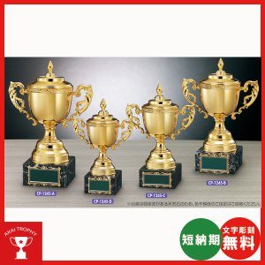 画像: CP1245：野球・空手・ゴルフ・サッカー・全ジャンルに優勝杯・優勝カップ