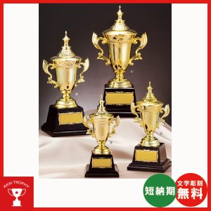 画像: AG9702：野球・空手・ゴルフ・サッカー・全ジャンルに優勝杯・優勝カップ