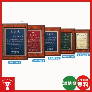 画像: 表彰楯　SHP7738：勤続表彰・企業表彰・代理店表彰・周年記念・竣工記念・表彰用品にオススメのレーザー彫刻表彰楯