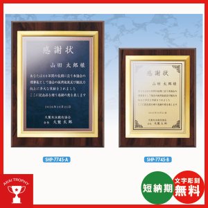 画像: 表彰楯　SHP7745：勤続表彰・企業表彰・代理店表彰・周年記念・竣工記念・表彰用品にオススメのレーザー彫刻表彰楯