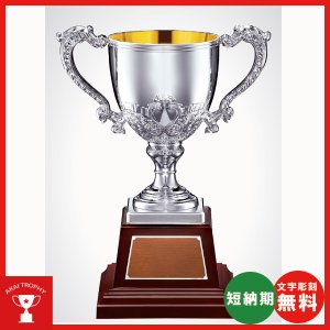 画像: No2136：野球・空手・ゴルフ・サッカー・全ジャンルに優勝杯・優勝カップ